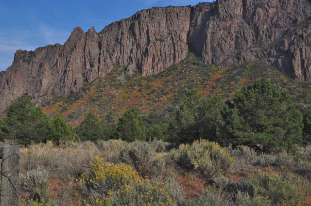 the fall colors of the canyons